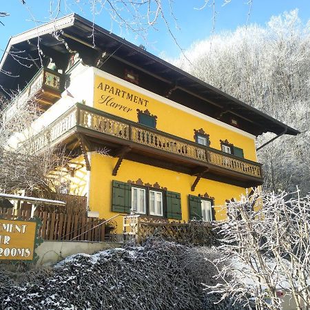 Appartement Harrer Zell am See Buitenkant foto